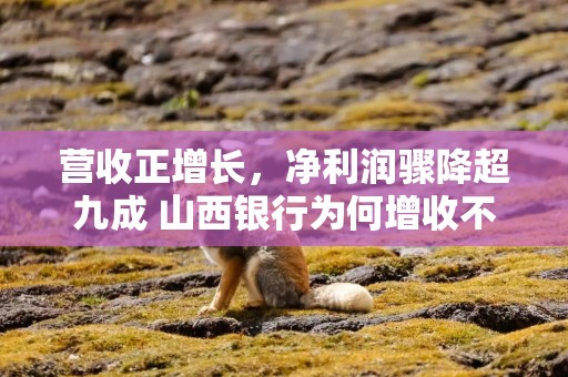 营收正增长，净利润骤降超九成 山西银行为何增收不增利