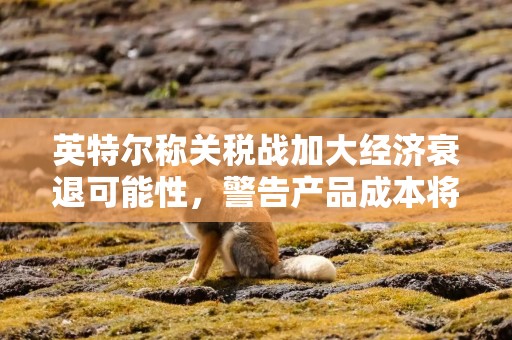 英特尔称关税战加大经济衰退可能性，警告产品成本将上升