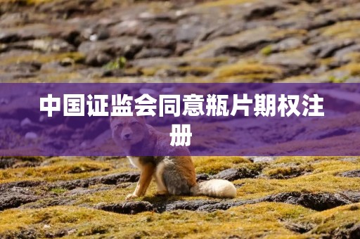 中国证监会同意瓶片期权注册