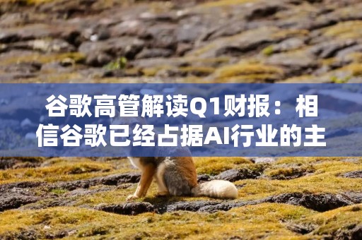谷歌高管解读Q1财报：相信谷歌已经占据AI行业的主导地位