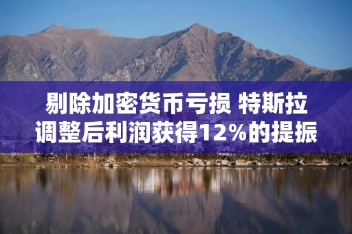 剔除加密货币亏损 特斯拉调整后利润获得12%的提振
