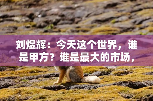 刘煜辉：今天这个世界，谁是甲方？谁是最大的市场，谁是甲方
