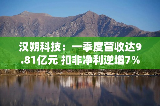 汉朔科技：一季度营收达9.81亿元 扣非净利逆增7%