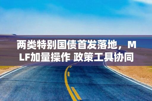 两类特别国债首发落地，MLF加量操作 政策工具协同发力呵护流动性