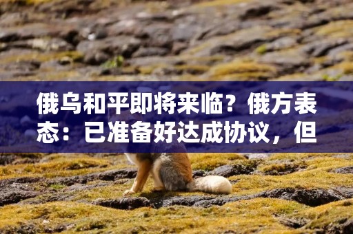 俄乌和平即将来临？俄方表态：已准备好达成协议，但部分内容需微调！