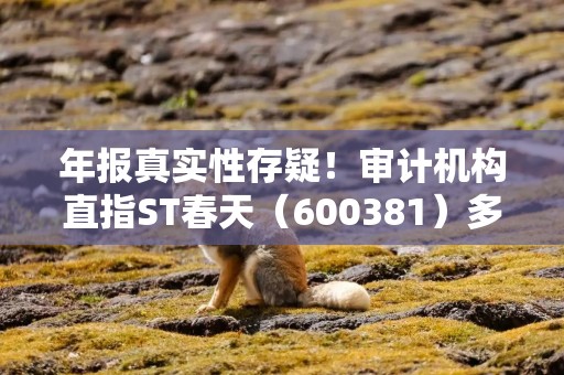 年报真实性存疑！审计机构直指ST春天（600381）多项财务异常，或面临股民索赔