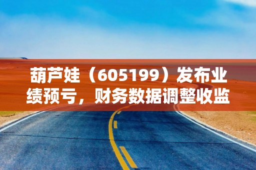 葫芦娃（605199）发布业绩预亏，财务数据调整收监管函