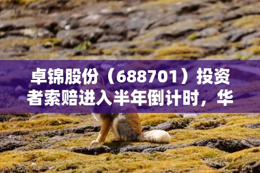 卓锦股份（688701）投资者索赔进入半年倒计时，华微电子（600360）索赔案持续推进