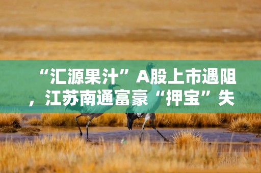 “汇源果汁”A股上市遇阻，江苏南通富豪“押宝”失败