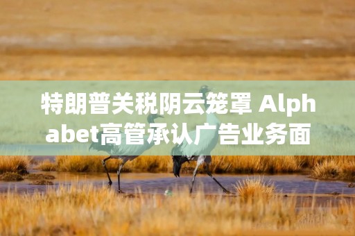 特朗普关税阴云笼罩 Alphabet高管承认广告业务面临“轻微阻力”
