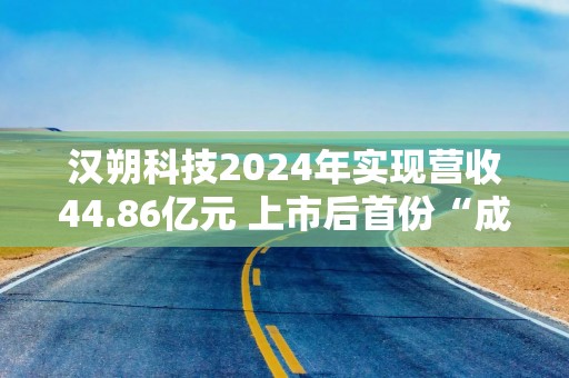 汉朔科技2024年实现营收44.86亿元 上市后首份“成绩单”亮眼
