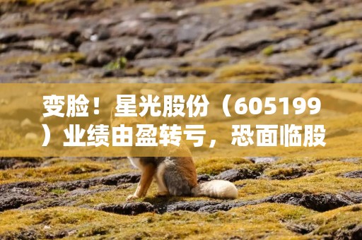 变脸！星光股份（605199）业绩由盈转亏，恐面临股民索赔