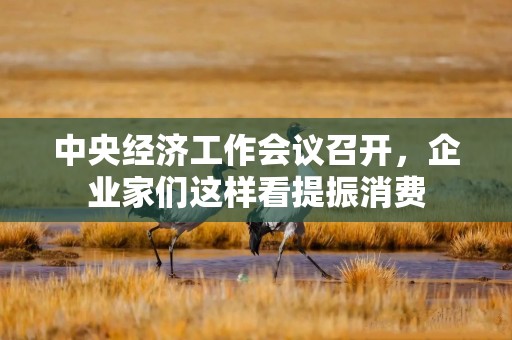 中央经济工作会议召开，企业家们这样看提振消费