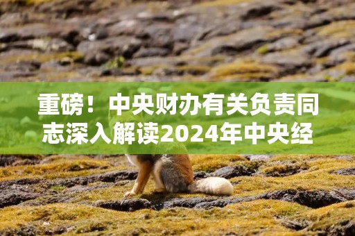重磅！中央财办有关负责同志深入解读2024年中央经济工作会议精神