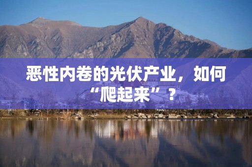 恶性内卷的光伏产业，如何“爬起来”？