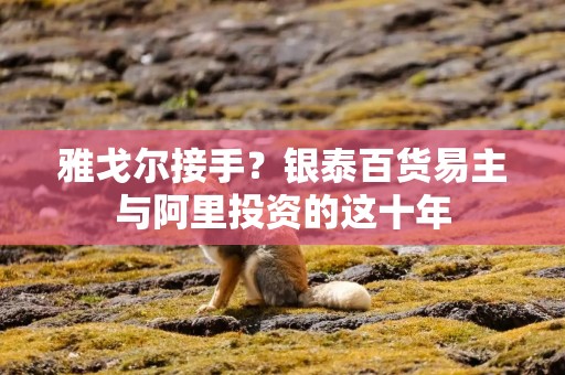 雅戈尔接手？银泰百货易主与阿里投资的这十年