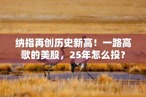 纳指再创历史新高！一路高歌的美股，25年怎么投？