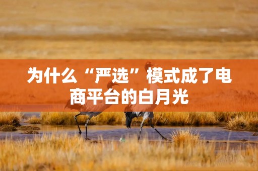 为什么“严选”模式成了电商平台的白月光