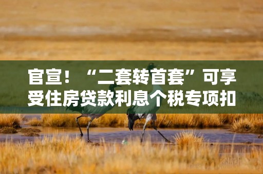 官宣！“二套转首套”可享受住房贷款利息个税专项扣除