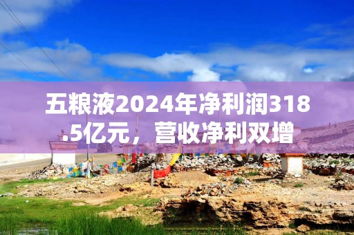 五粮液2024年净利润318.5亿元，营收净利双增