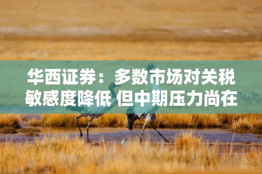 华西证券：多数市场对关税敏感度降低 但中期压力尚在