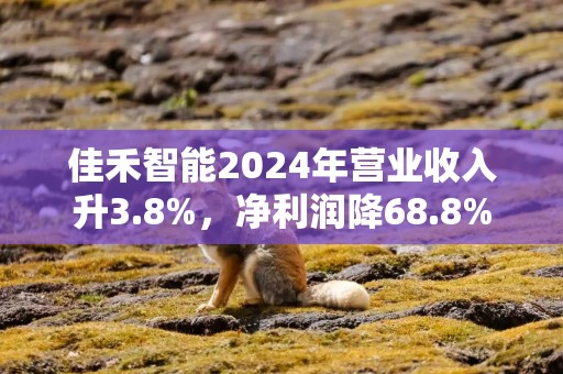佳禾智能2024年营业收入升3.8%，净利润降68.8%