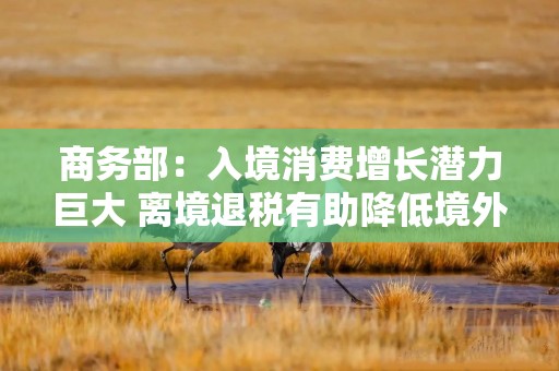 商务部：入境消费增长潜力巨大 离境退税有助降低境外旅客购物成本