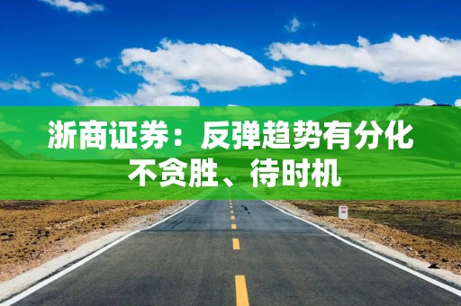 浙商证券：反弹趋势有分化 不贪胜、待时机