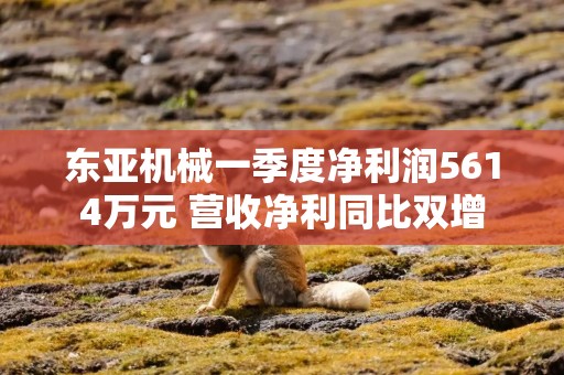 东亚机械一季度净利润5614万元 营收净利同比双增