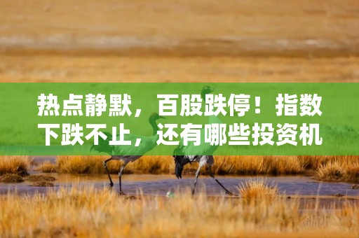 热点静默，百股跌停！指数下跌不止，还有哪些投资机会？