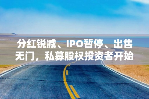 分红锐减、IPO暂停、出售无门，私募股权投资者开始“抵押贷款”