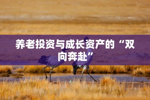养老投资与成长资产的“双向奔赴”