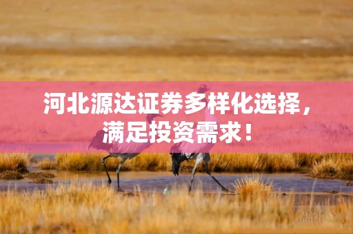 河北源达证券多样化选择，满足投资需求！