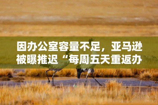 因办公室容量不足，亚马逊被曝推迟“每周五天重返办公室”政策
