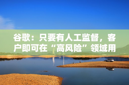 谷歌：只要有人工监督，客户即可在“高风险”领域用其AI作出决策