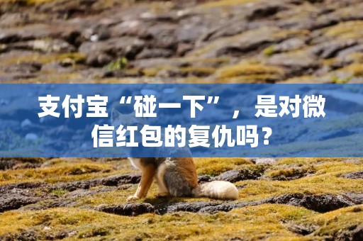 支付宝“碰一下”，是对微信红包的复仇吗？