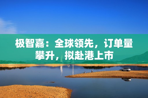 极智嘉：全球领先，订单量攀升，拟赴港上市