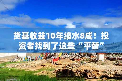 货基收益10年缩水8成！投资者找到了这些“平替”