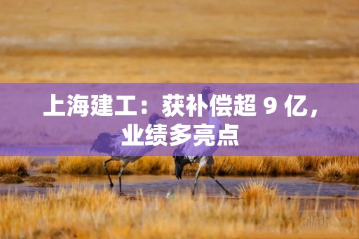 上海建工：获补偿超 9 亿，业绩多亮点