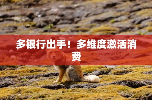 多银行出手！多维度激活消费