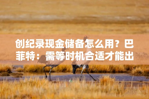创纪录现金储备怎么用？巴菲特：需等时机合适才能出手，可能五年以内