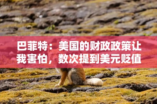 巴菲特：美国的财政政策让我害怕，数次提到美元贬值及其带来的风险