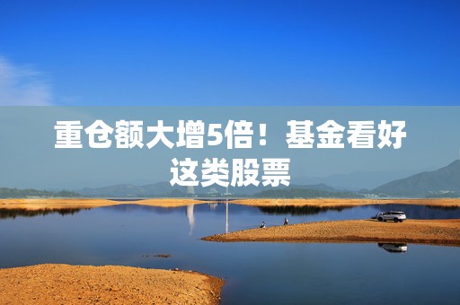 重仓额大增5倍！基金看好这类股票