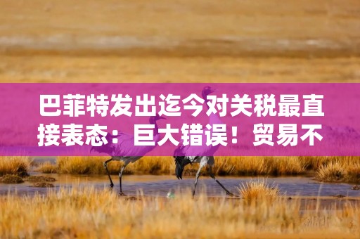 巴菲特发出迄今对关税最直接表态：巨大错误！贸易不应成为武器