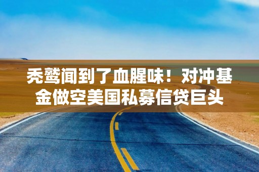 秃鹫闻到了血腥味！对冲基金做空美国私募信贷巨头