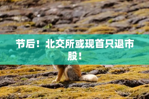 节后！北交所或现首只退市股！