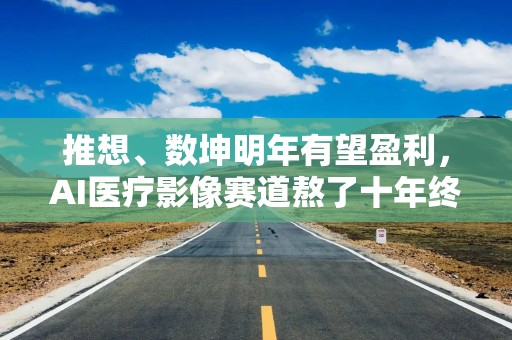 推想、数坤明年有望盈利，AI医疗影像赛道熬了十年终于迎来曙光？