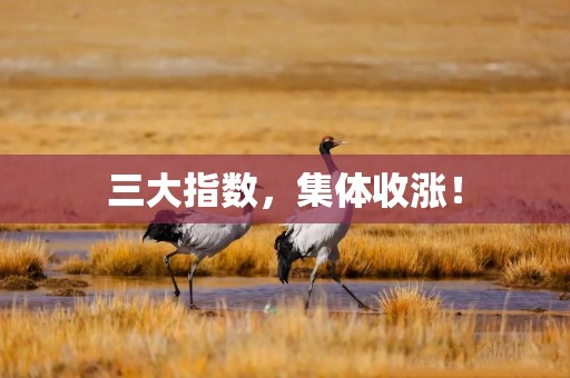 三大指数，集体收涨！