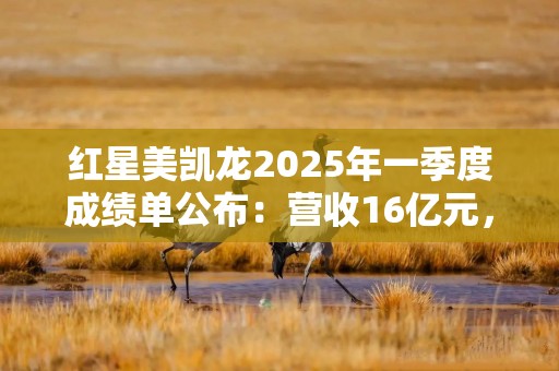 红星美凯龙2025年一季度成绩单公布：营收16亿元，“3+星生态”稳步推进