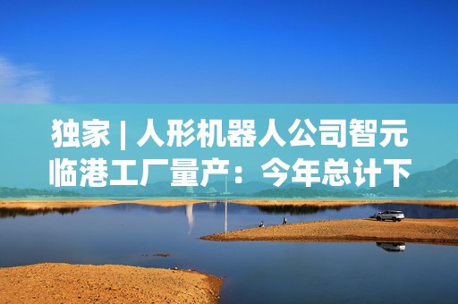 独家 | 人形机器人公司智元临港工厂量产：今年总计下线预计超900台